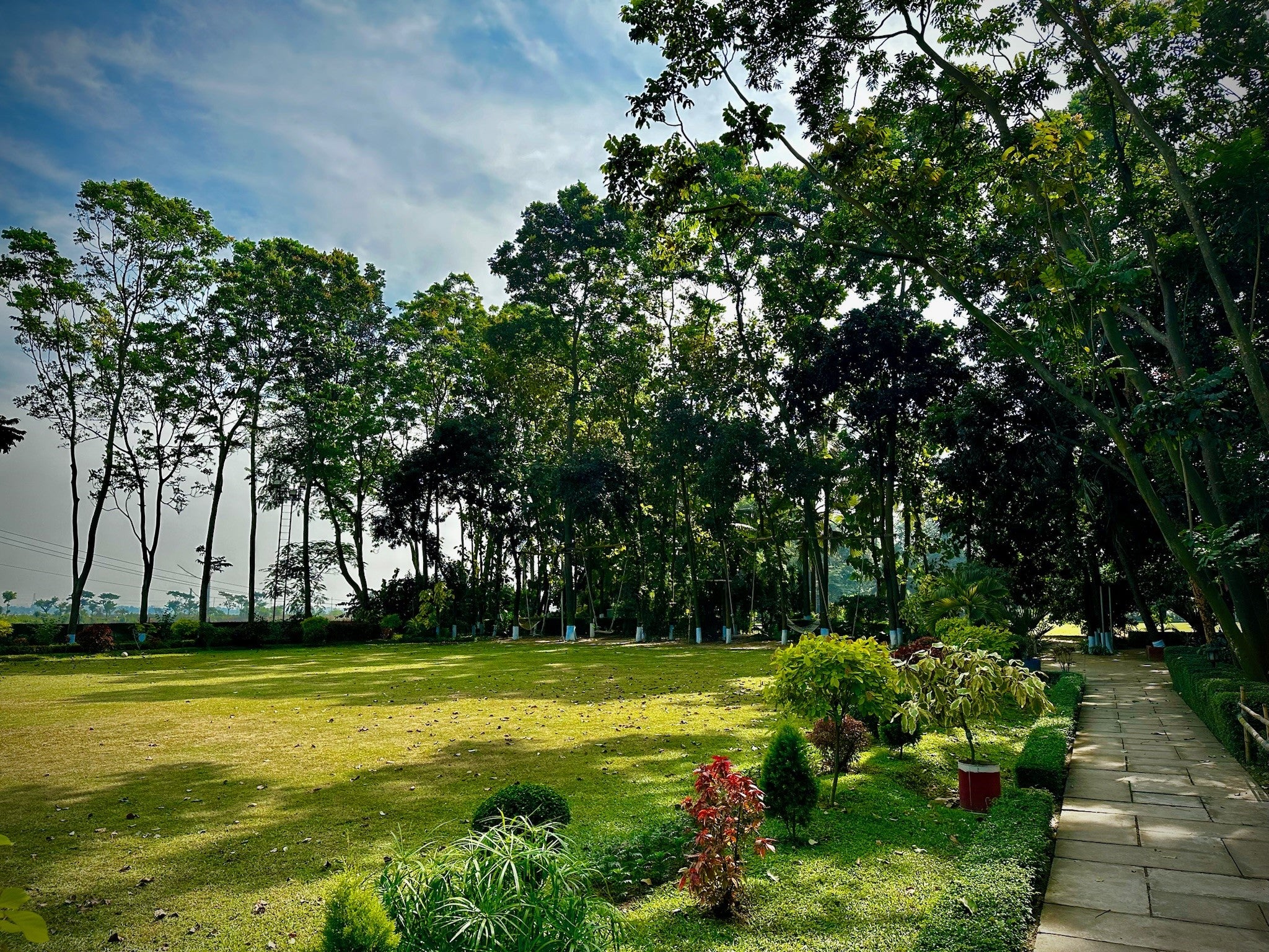 Lush green landscape and walking path at Barnochata Sarah Resort near Dhaka, showcasing verdant lawns and diverse tropical trees under a clear sky