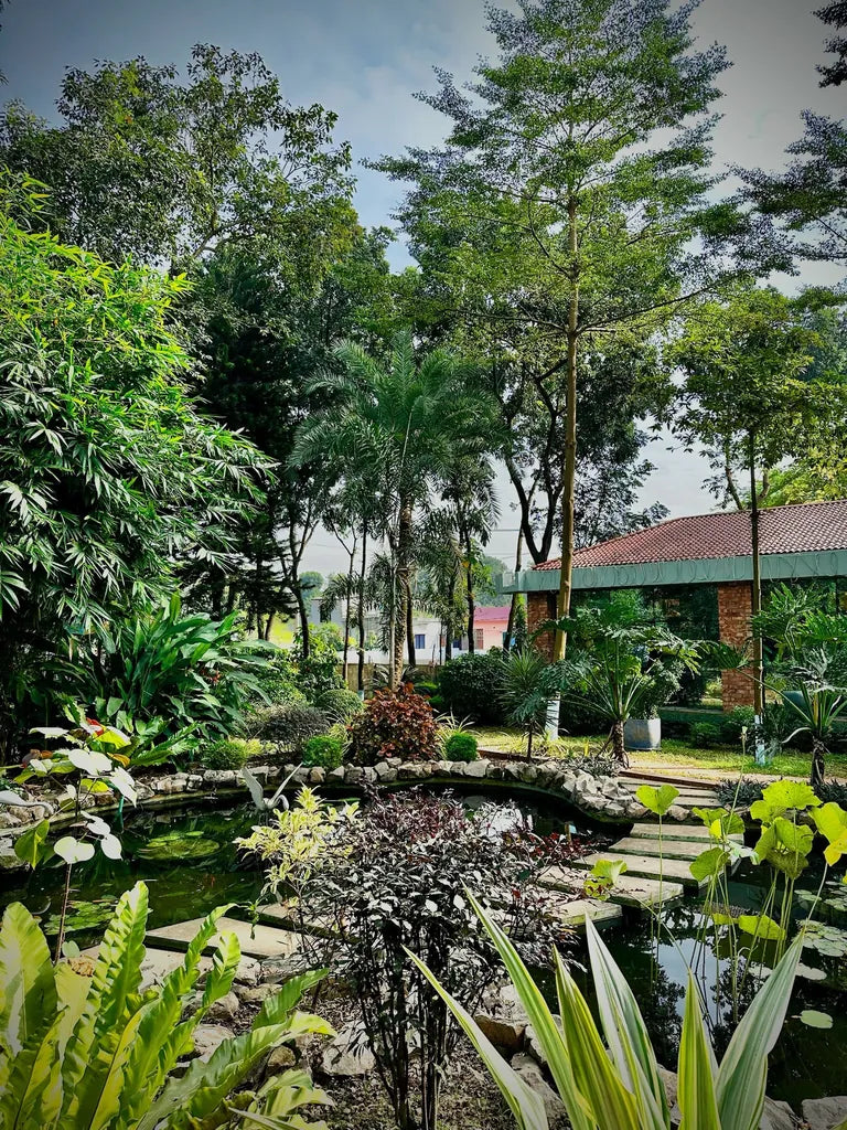 A small, tranquil pond surrounded by exotic plants and trees at an eco-friendly resort near Dhaka, Bangladesh